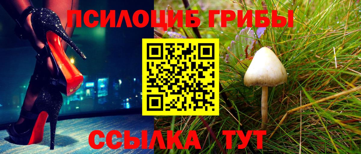 Галлюциногенные грибы мицелий  Вход с VPN  сколько стоит  Галлюциногенные грибы прущие грибы  Октябрьский 